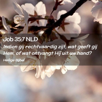 Picture 02 - Job 35:7 NLD - Indien gij rechtvaardig zijt, wat geeft gij Hem, - Bible Verse Picture