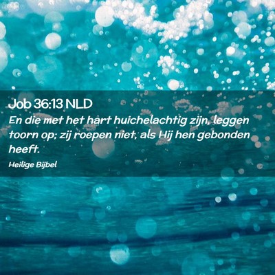 Picture 02 - Job 36:13 NLD - En die met het hart huichelachtig zijn, leggen - Bible Verse Picture