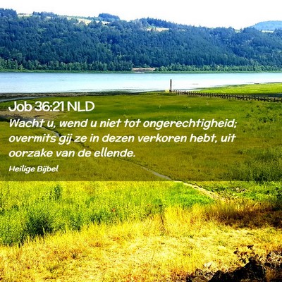 Picture 02 - Job 36:21 NLD - Wacht u, wend u niet tot ongerechtigheid; - Bible Verse Picture