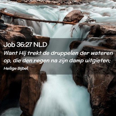 Picture 02 - Job 36:27 NLD - Want Hij trekt de druppelen der wateren op, die - Bible Verse Picture