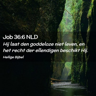 Picture 02 - Job 36:6 NLD - Hij laat den goddeloze niet leven, en het recht - Bible Verse Picture