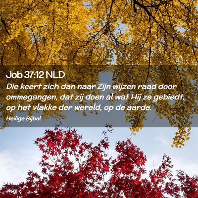 Picture 02 - Job 37:12 NLD - Die keert zich dan naar Zijn wijzen raad door - Bible Verse Picture