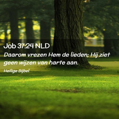 Picture 02 - Job 37:24 NLD - Daarom vrezen Hem de lieden; Hij ziet geen wijzen - Bible Verse Picture