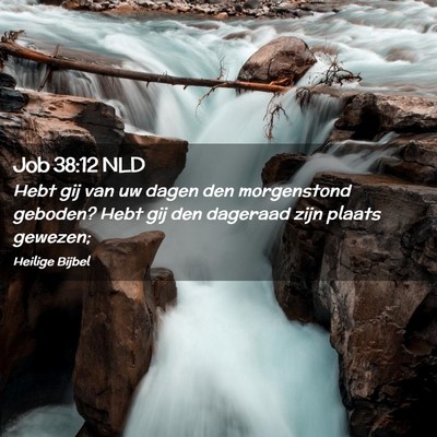 Picture 02 - Job 38:12 NLD - Hebt gij van uw dagen den morgenstond geboden? - Bible Verse Picture