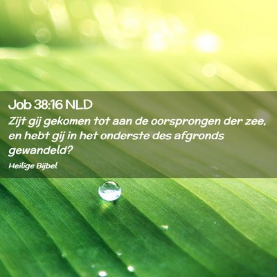 Picture 02 - Job 38:16 NLD - Zijt gij gekomen tot aan de oorsprongen der zee, - Bible Verse Picture