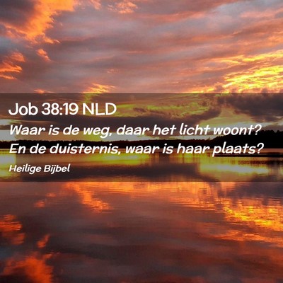 Picture 02 - Job 38:19 NLD - Waar is de weg, daar het licht woont? En de - Bible Verse Picture