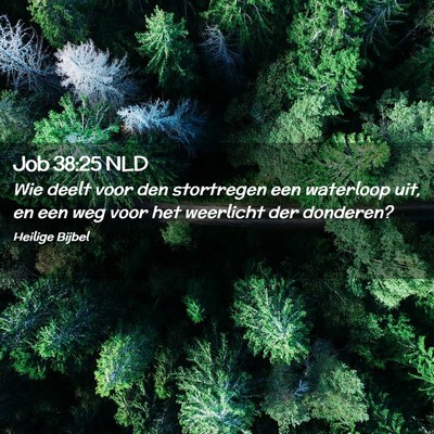 Picture 02 - Job 38:25 NLD - Wie deelt voor den stortregen een waterloop uit, - Bible Verse Picture
