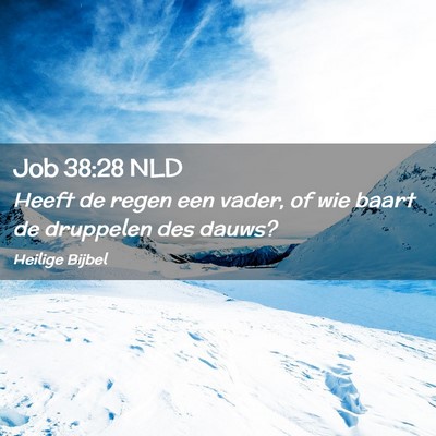 Picture 02 - Job 38:28 NLD - Heeft de regen een vader, of wie baart de - Bible Verse Picture