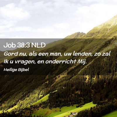 Picture 02 - Job 38:3 NLD - Gord nu, als een man, uw lenden, zo zal Ik u - Bible Verse Picture
