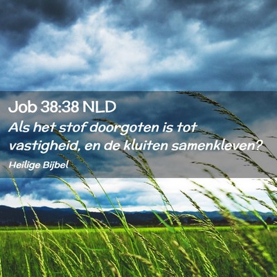 Picture 02 - Job 38:38 NLD - Als het stof doorgoten is tot vastigheid, en de - Bible Verse Picture