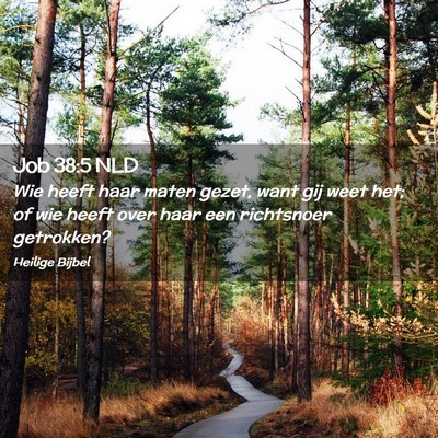 Picture 02 - Job 38:5 NLD - Wie heeft haar maten gezet, want gij weet het; of - Bible Verse Picture
