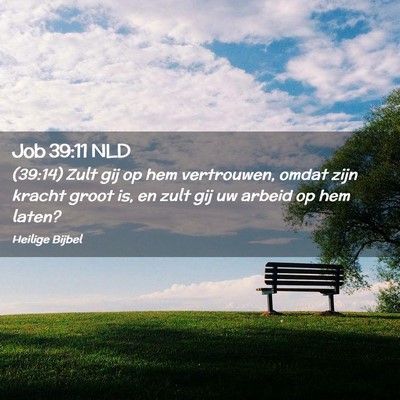 Picture 02 - Job 39:11 NLD - (39:14) Zult gij op hem vertrouwen, omdat zijn - Bible Verse Picture