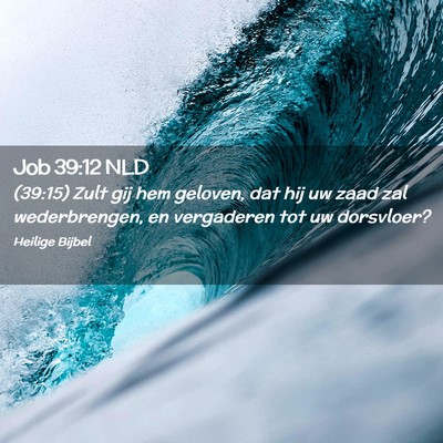 Picture 02 - Job 39:12 NLD - (39:15) Zult gij hem geloven, dat hij uw zaad zal - Bible Verse Picture