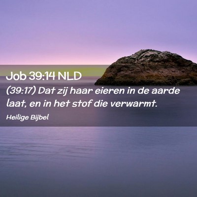 Picture 02 - Job 39:14 NLD - (39:17) Dat zij haar eieren in de aarde laat, en - Bible Verse Picture