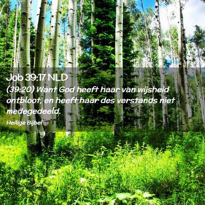 Picture 02 - Job 39:17 NLD - (39:20) Want God heeft haar van wijsheid - Bible Verse Picture