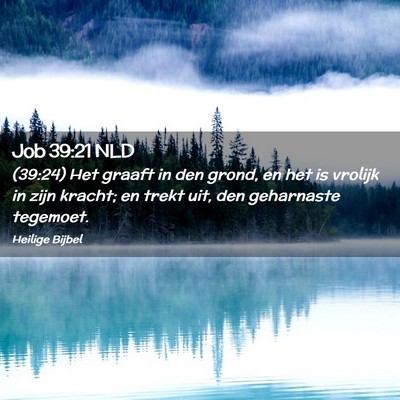 Picture 02 - Job 39:21 NLD - (39:24) Het graaft in den grond, en het is - Bible Verse Picture