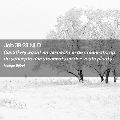 Picture 02 - Job 39:28 NLD - (39:31) Hij woont en vernacht in de steenrots, op - Bible Verse Picture