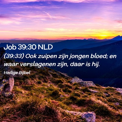 Picture 02 - Job 39:30 NLD - (39:33) Ook zuipen zijn jongen bloed; en waar - Bible Verse Picture