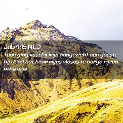 Picture 02 - Job 4:15 NLD - Toen ging voorbij mijn aangezicht een geest; hij - Bible Verse Picture