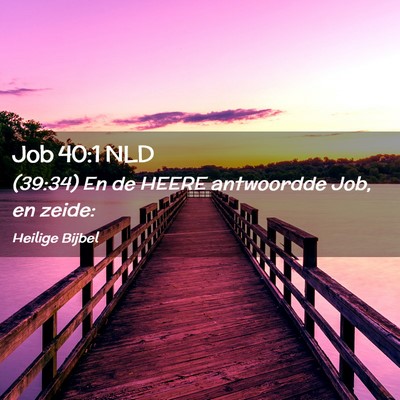 Picture 02 - Job 40:1 NLD - (39:34) En de HEERE antwoordde Job, en - Bible Verse Picture