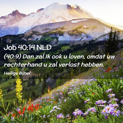 Picture 02 - Job 40:14 NLD - (40:9) Dan zal Ik ook u loven, omdat uw - Bible Verse Picture