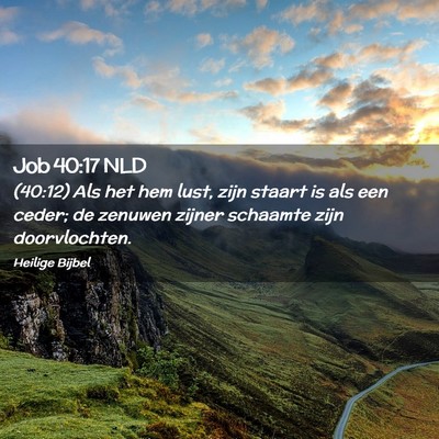 Picture 02 - Job 40:17 NLD - (40:12) Als het hem lust, zijn staart is als een - Bible Verse Picture