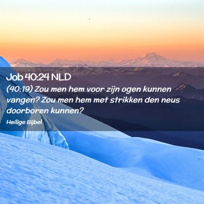 Picture 02 - Job 40:24 NLD - (40:19) Zou men hem voor zijn ogen kunnen vangen? - Bible Verse Picture