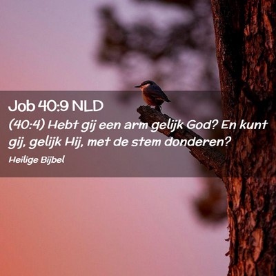 Picture 02 - Job 40:9 NLD - (40:4) Hebt gij een arm gelijk God? En kunt gij, - Bible Verse Picture