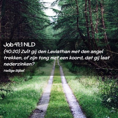Picture 02 - Job 41:1 NLD - (40:20) Zult gij den Leviathan met den angel - Bible Verse Picture