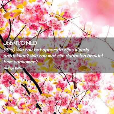 Picture 02 - Job 41:13 NLD - (41:4) Wie zou het opperste zijns kleeds - Bible Verse Picture
