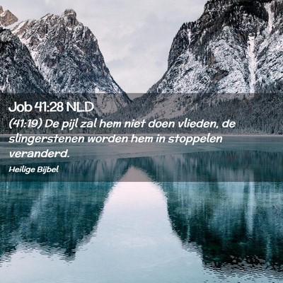 Picture 02 - Job 41:28 NLD - (41:19) De pijl zal hem niet doen vlieden, de - Bible Verse Picture