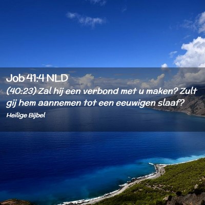 Picture 02 - Job 41:4 NLD - (40:23) Zal hij een verbond met u maken? Zult gij - Bible Verse Picture