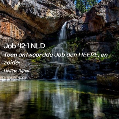 Picture 02 - Job 42:1 NLD - Toen antwoordde Job den HEERE, en - Bible Verse Picture