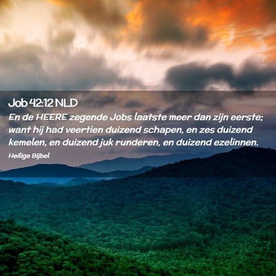 Picture 02 - Job 42:12 NLD - En de HEERE zegende Jobs laatste meer dan zijn - Bible Verse Picture