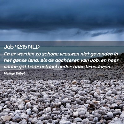 Picture 02 - Job 42:15 NLD - En er werden zo schone vrouwen niet gevonden in - Bible Verse Picture