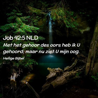 Picture 02 - Job 42:5 NLD - Met het gehoor des oors heb ik U gehoord; maar nu - Bible Verse Picture