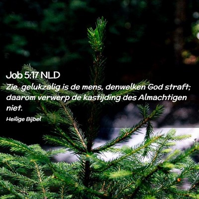 Picture 02 - Job 5:17 NLD - Zie, gelukzalig is de mens, denwelken God straft; - Bible Verse Picture