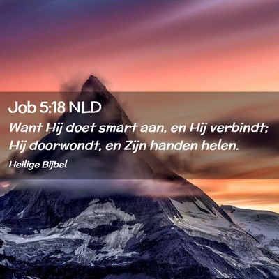 Picture 02 - Job 5:18 NLD - Want Hij doet smart aan, en Hij verbindt; Hij - Bible Verse Picture