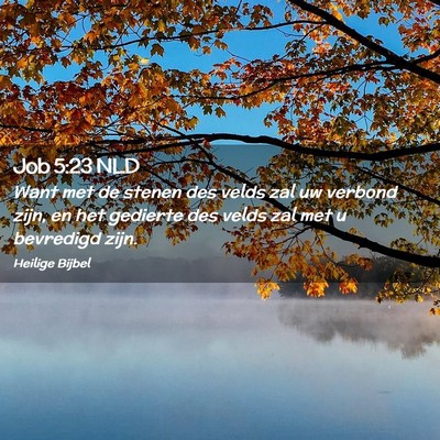 Picture 02 - Job 5:23 NLD - Want met de stenen des velds zal uw verbond zijn, - Bible Verse Picture