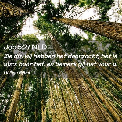 Picture 02 - Job 5:27 NLD - Zie dit, wij hebben het doorzocht, het is alzo; - Bible Verse Picture