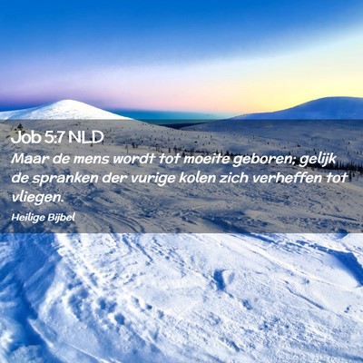 Picture 02 - Job 5:7 NLD - Maar de mens wordt tot moeite geboren; gelijk de - Bible Verse Picture
