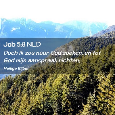 Picture 02 - Job 5:8 NLD - Doch ik zou naar God zoeken, en tot God mijn - Bible Verse Picture