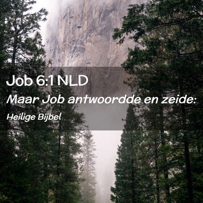 Picture 02 - Job 6:1 NLD - Maar Job antwoordde en - Bible Verse Picture