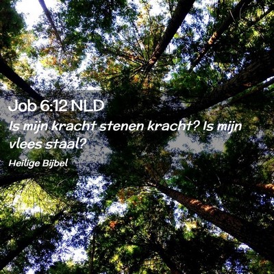 Picture 02 - Job 6:12 NLD - Is mijn kracht stenen kracht? Is mijn vlees - Bible Verse Picture