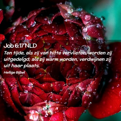 Picture 02 - Job 6:17 NLD - Ten tijde, als zij van hitte vervlieten, worden - Bible Verse Picture