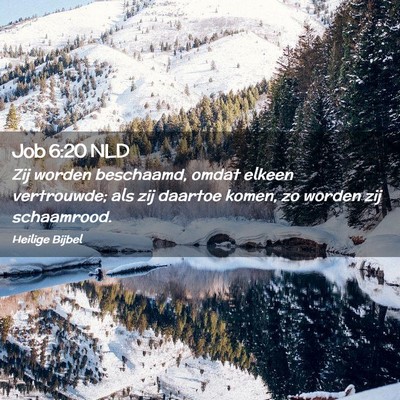 Picture 02 - Job 6:20 NLD - Zij worden beschaamd, omdat elkeen vertrouwde; - Bible Verse Picture