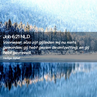Picture 02 - Job 6:21 NLD - Voorwaar, alzo zijt gijlieden mij nu niets - Bible Verse Picture