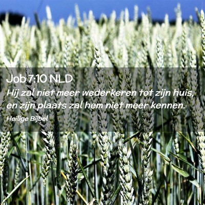 Picture 02 - Job 7:10 NLD - Hij zal niet meer wederkeren tot zijn huis, en - Bible Verse Picture