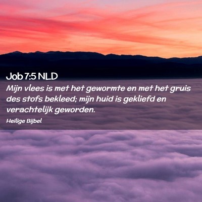 Picture 02 - Job 7:5 NLD - Mijn vlees is met het gewormte en met het gruis - Bible Verse Picture