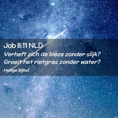 Picture 02 - Job 8:11 NLD - Verheft zich de bieze zonder slijk? Groeit het - Bible Verse Picture
